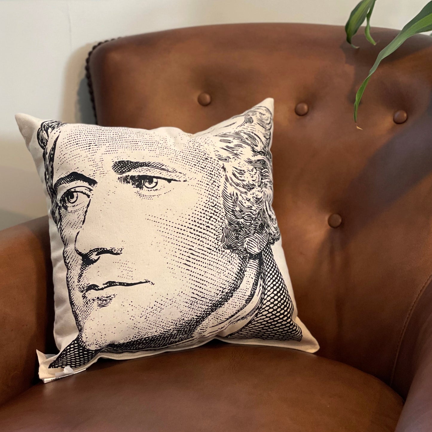 Alexander Hamilton Pillow