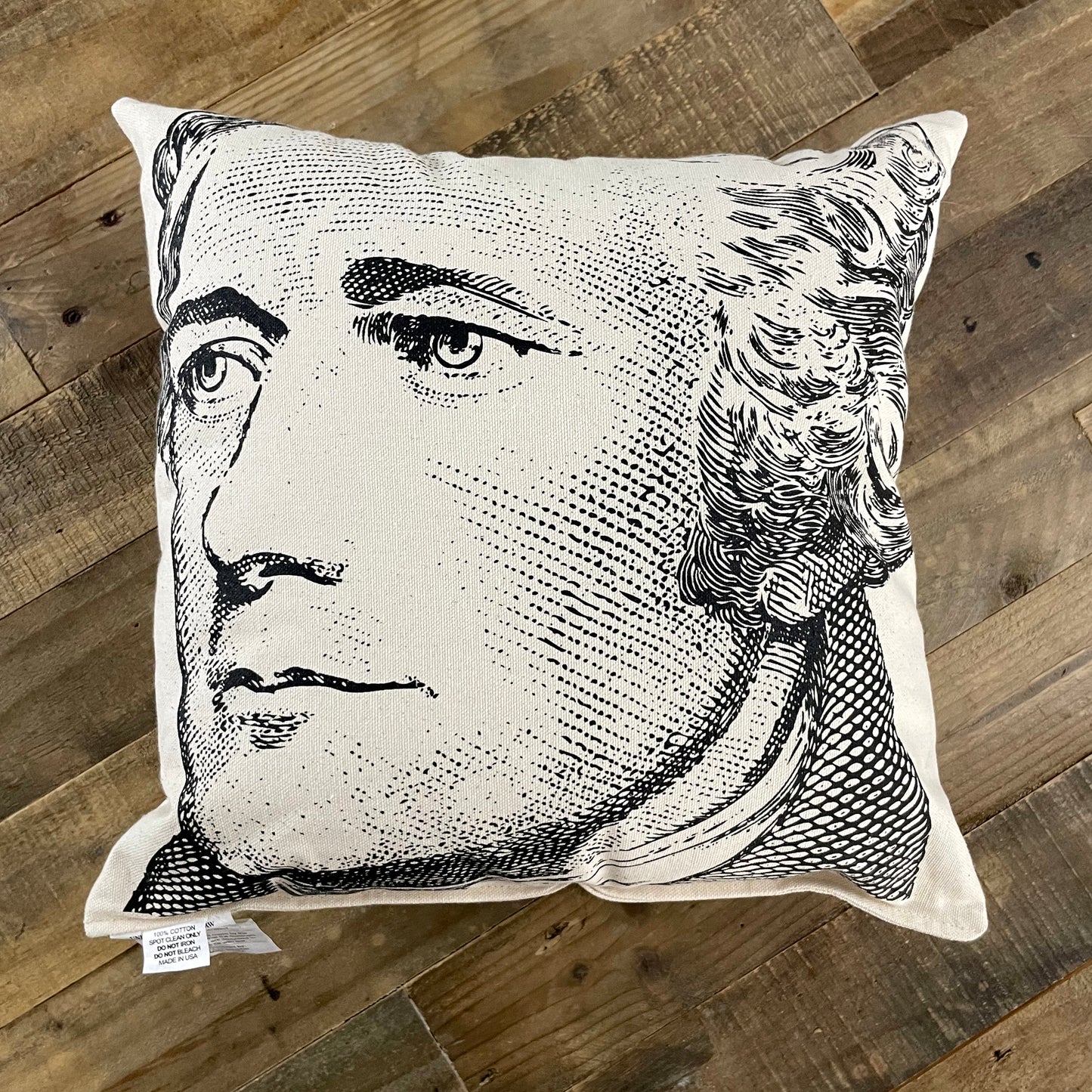 Alexander Hamilton Pillow
