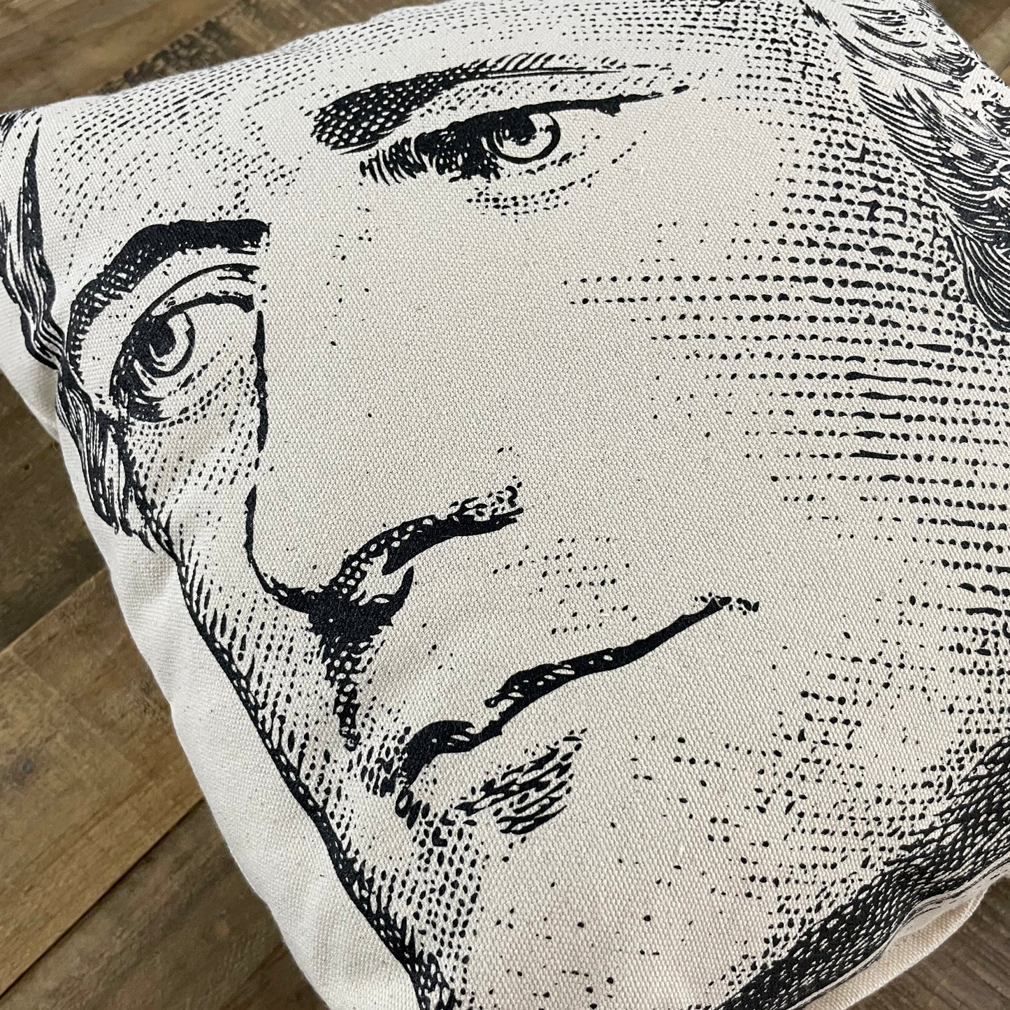 Alexander Hamilton Pillow