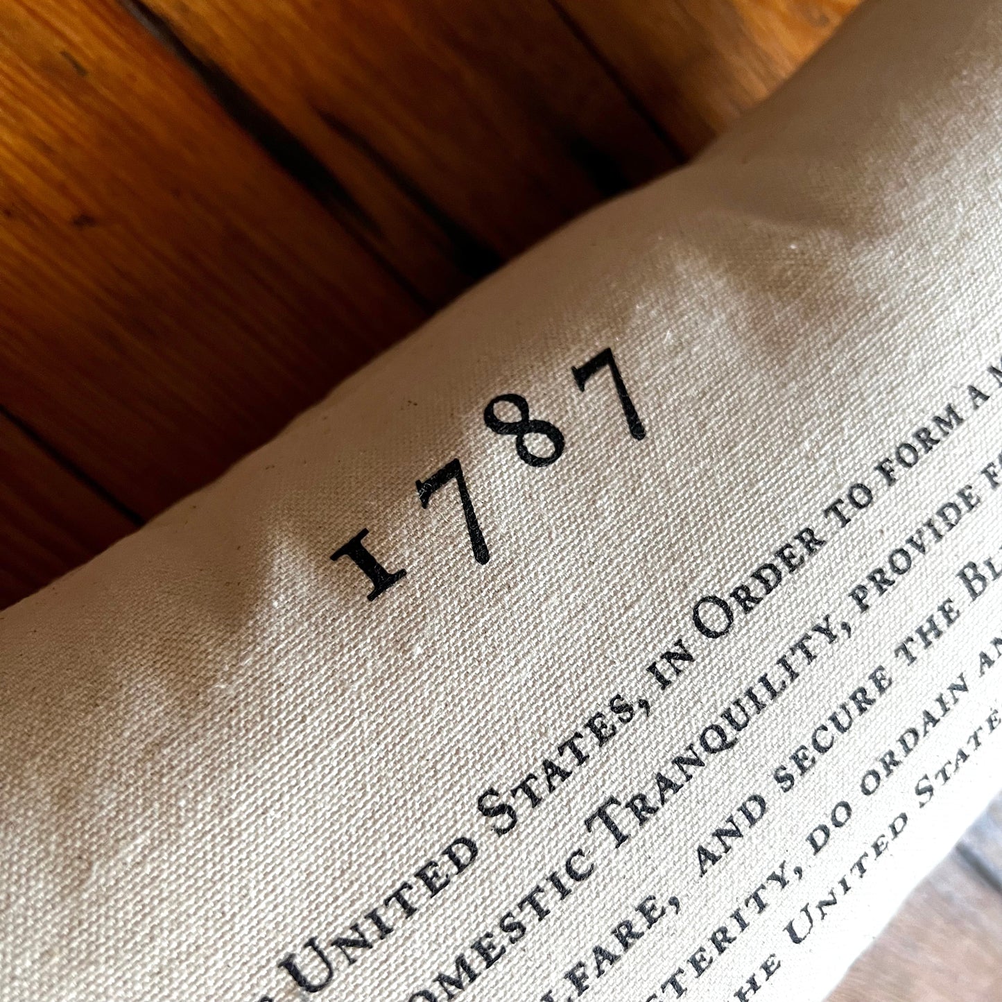 We the People Pillow