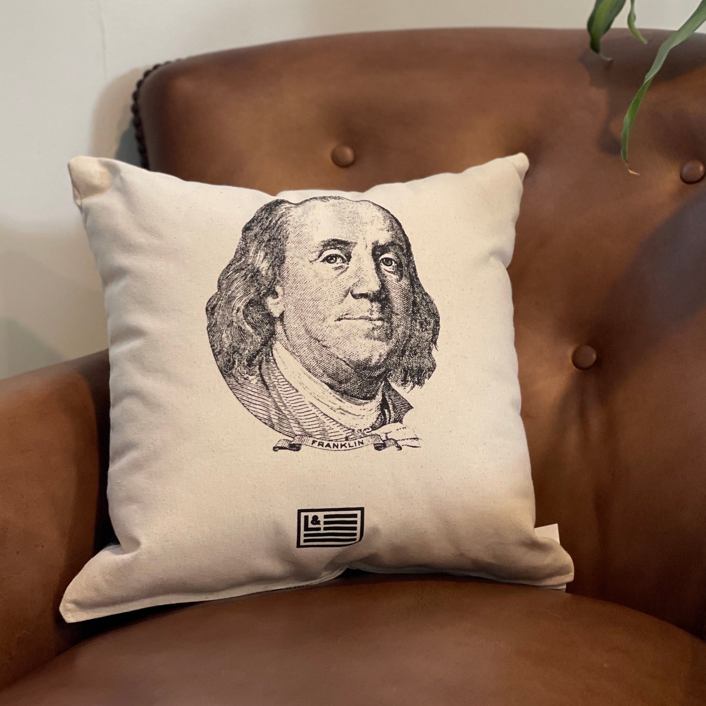 Benjamin Franklin Pillow