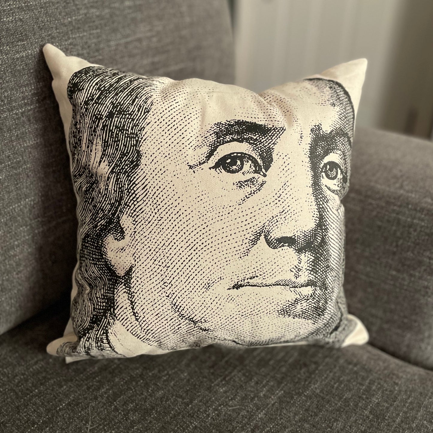 Benjamin Franklin Pillow