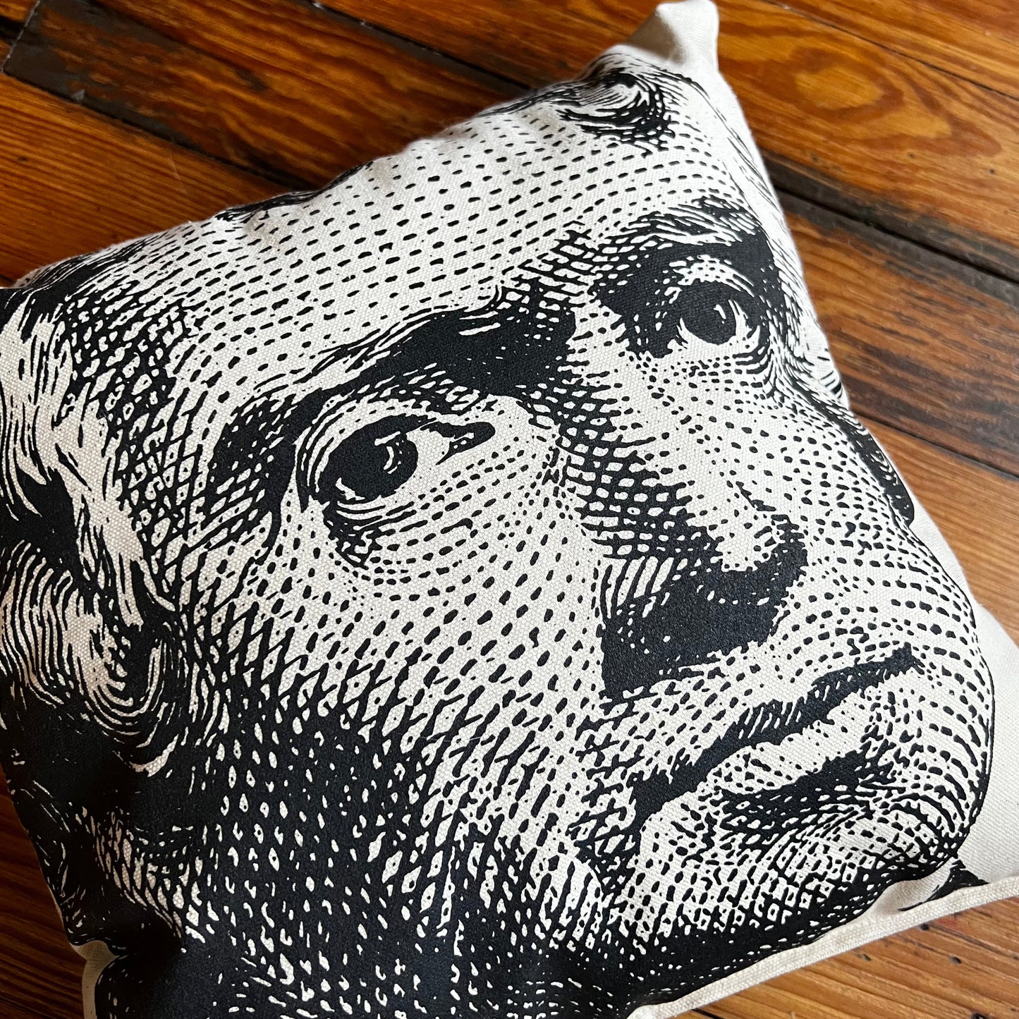 Thomas Jefferson Pillow