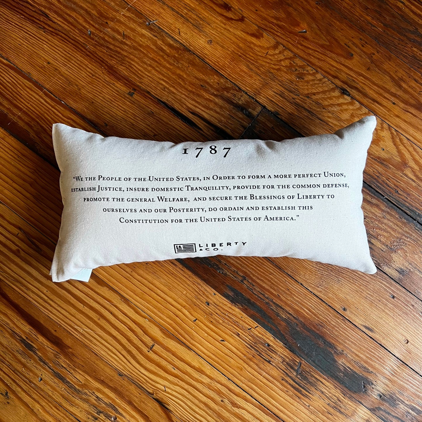 We the People Pillow