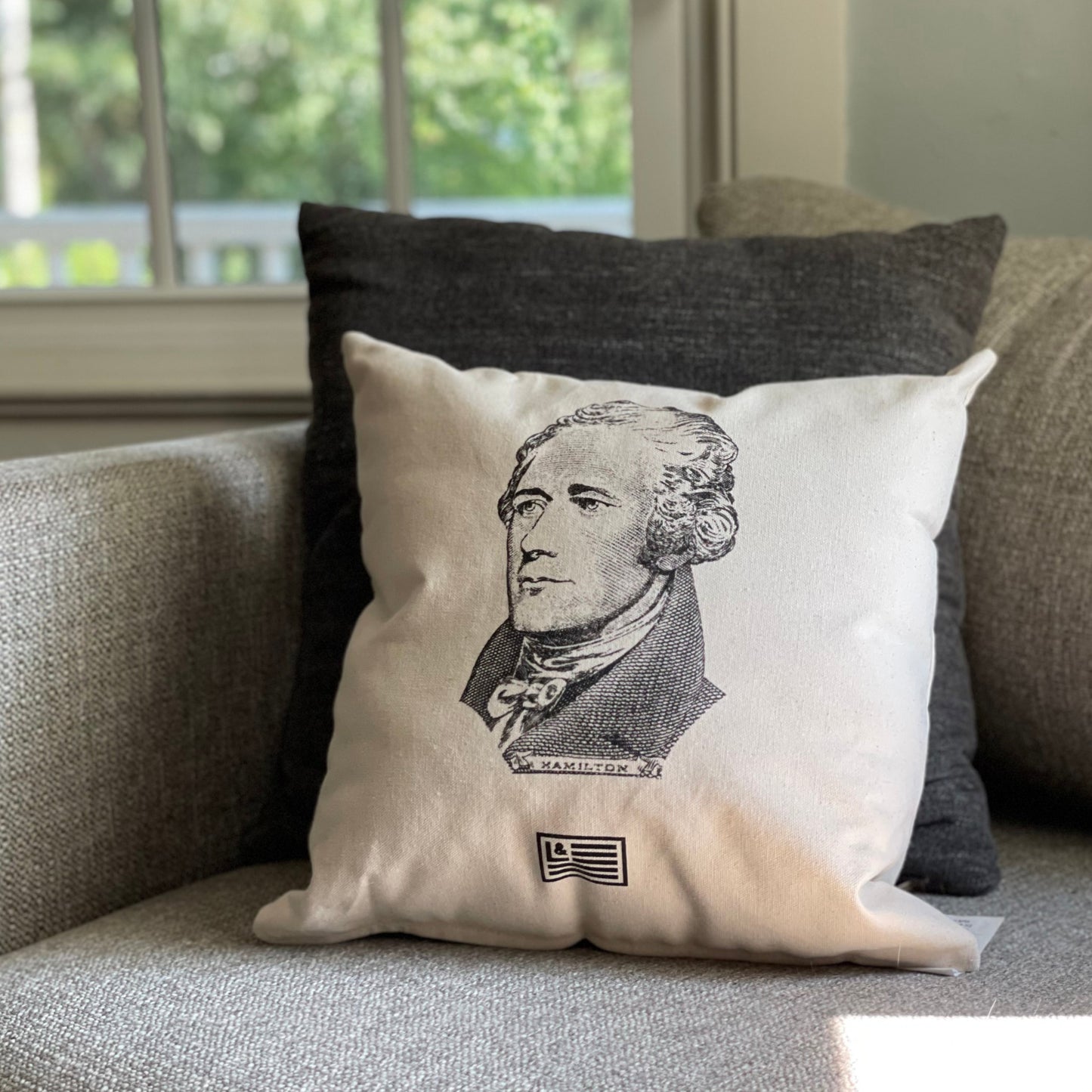 Alexander Hamilton Pillow