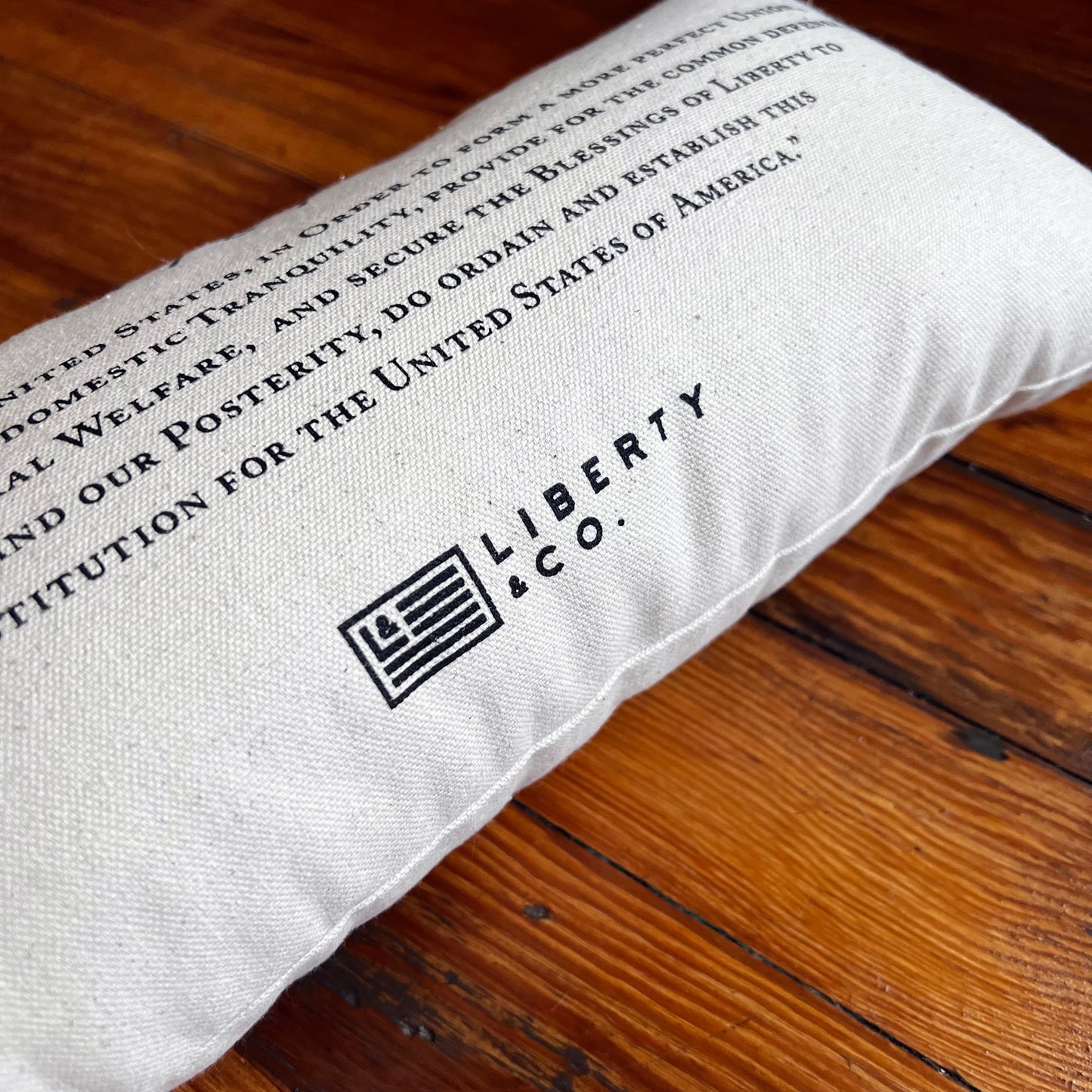 We the People Pillow