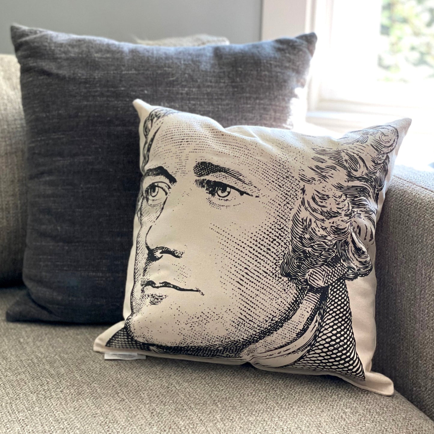 Alexander Hamilton Pillow