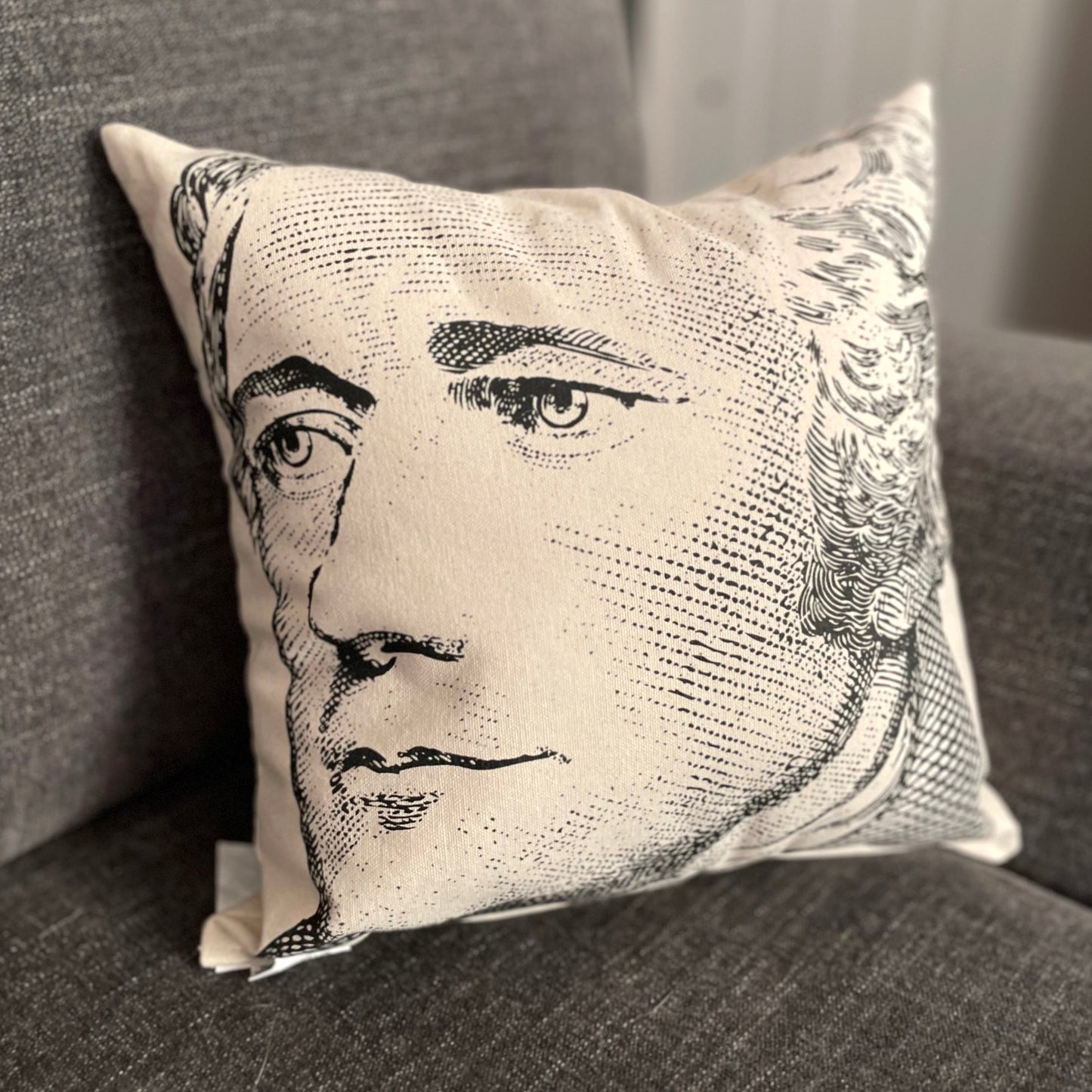 Alexander Hamilton Pillow