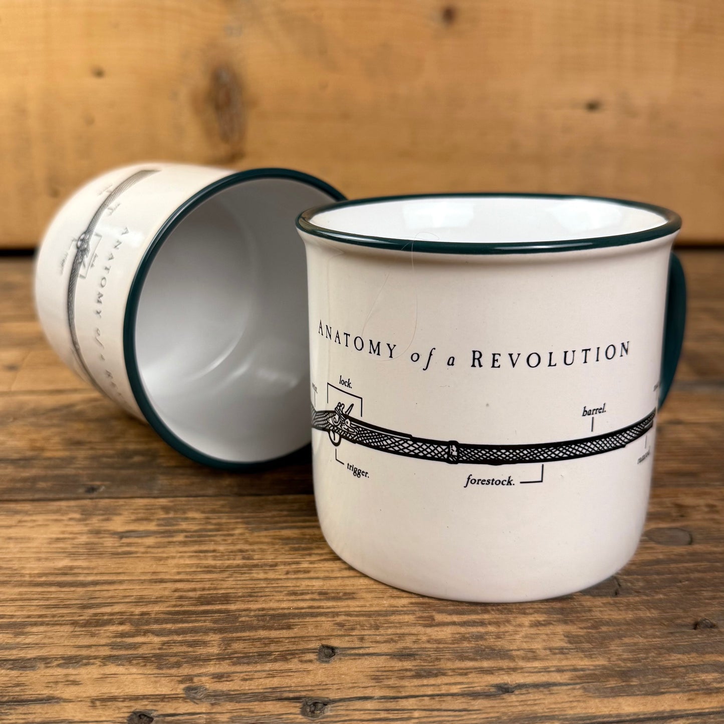 Anatomy of a Revolution Musket Diagram Mug