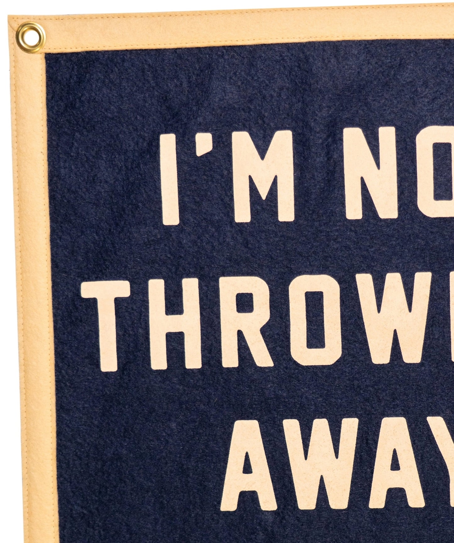 I'm Not Throwing Away My Shot – Hamilton Banner