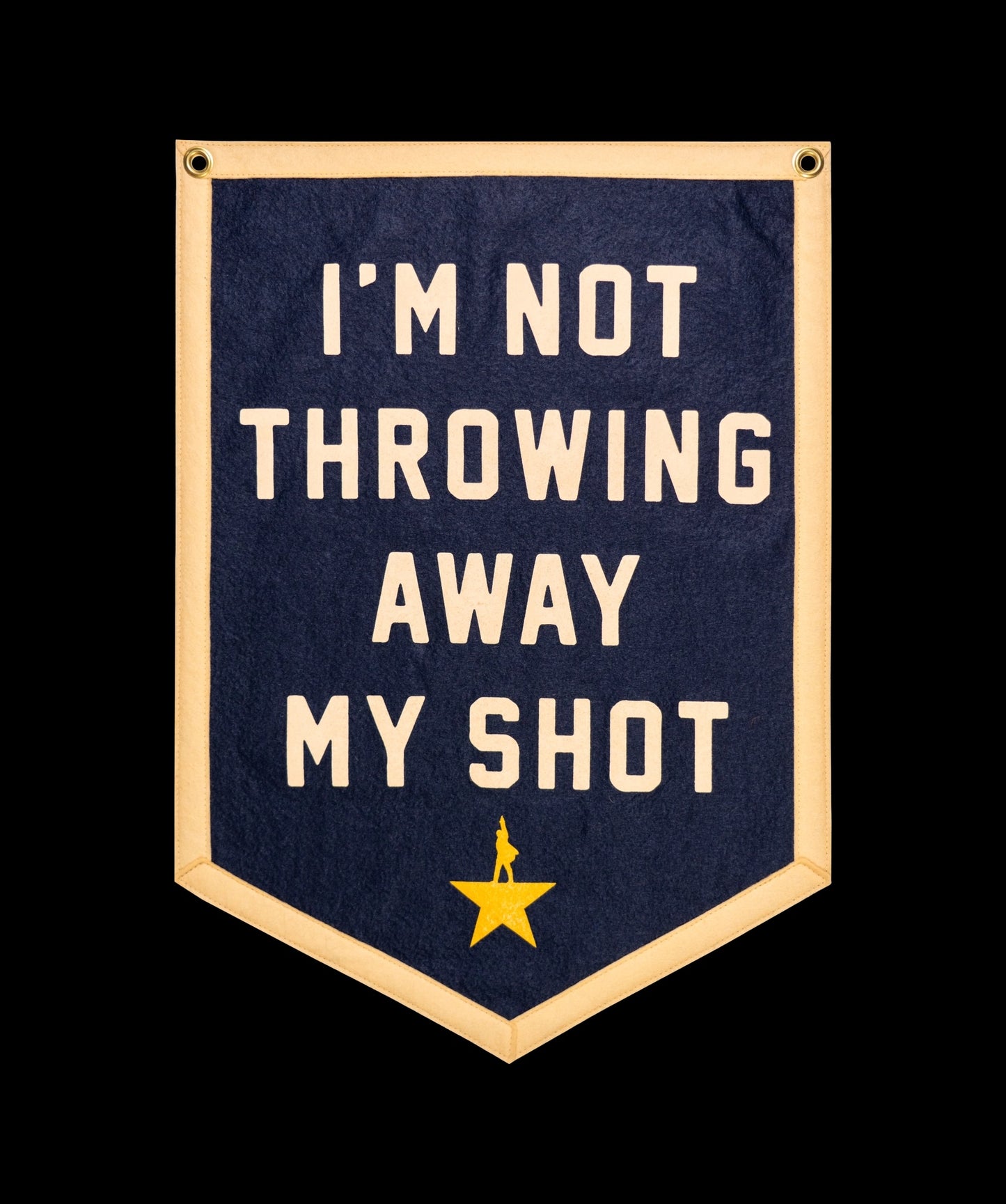 I'm Not Throwing Away My Shot – Hamilton Banner