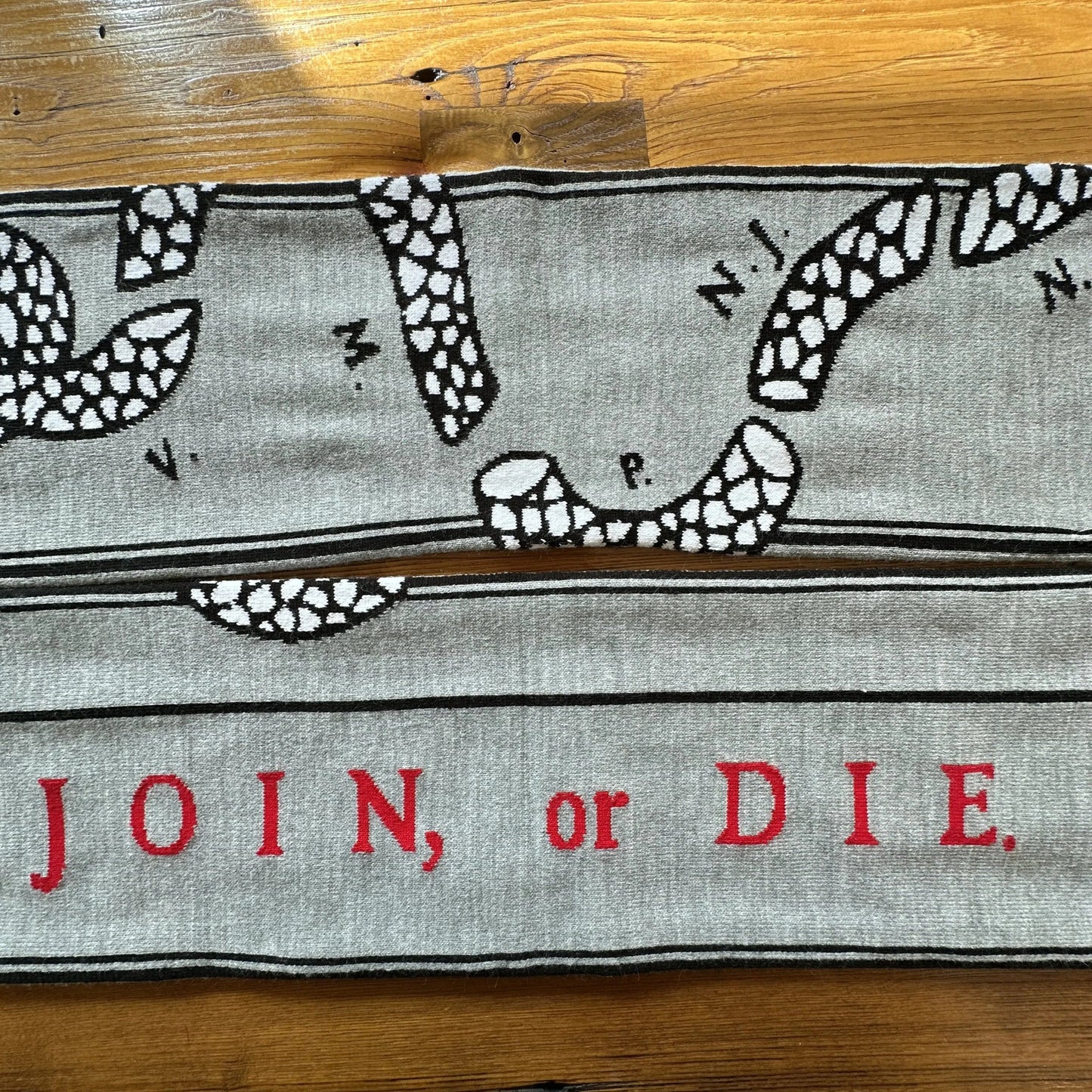 Join, or Die Woven Scarf