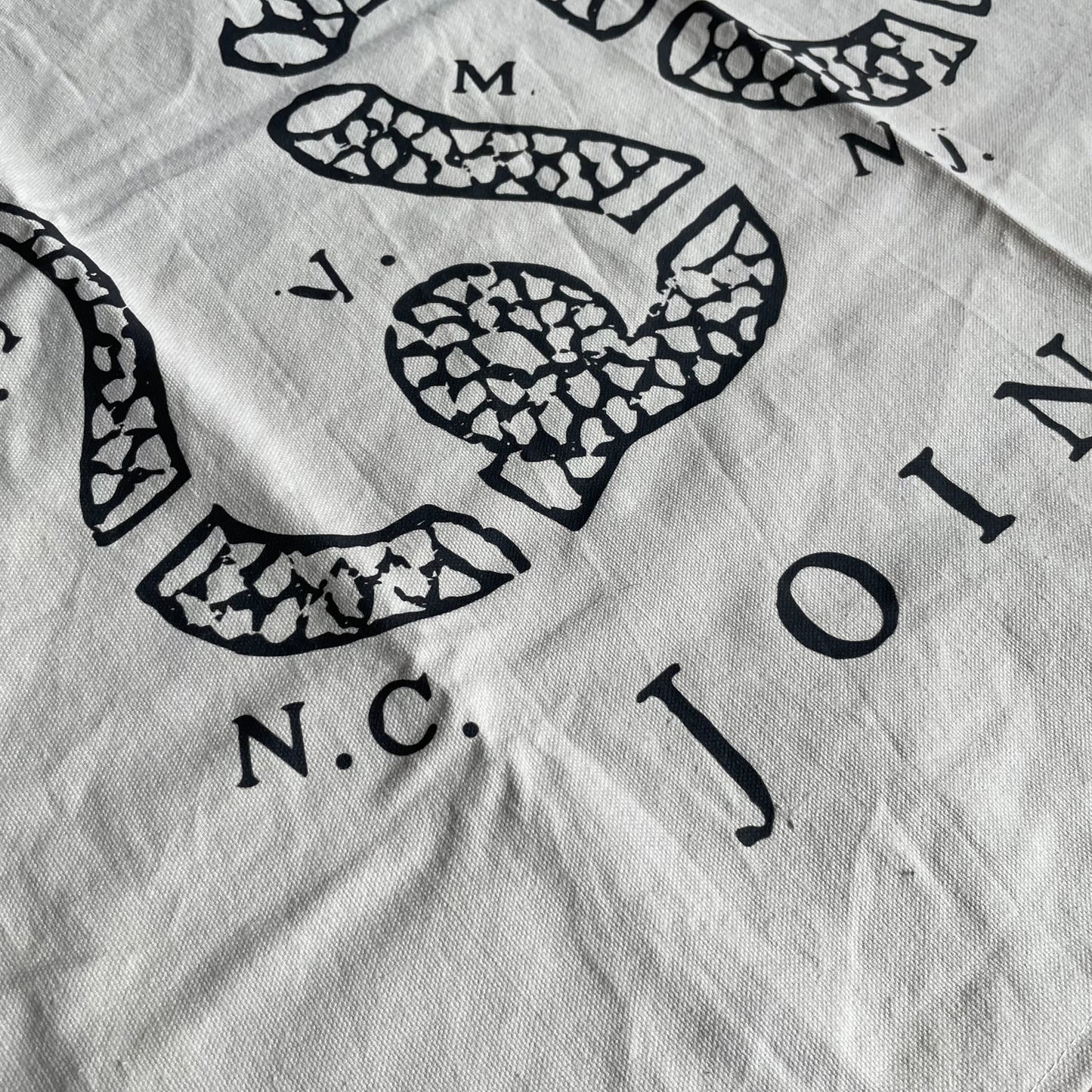 Join Or Die Canvas Flag