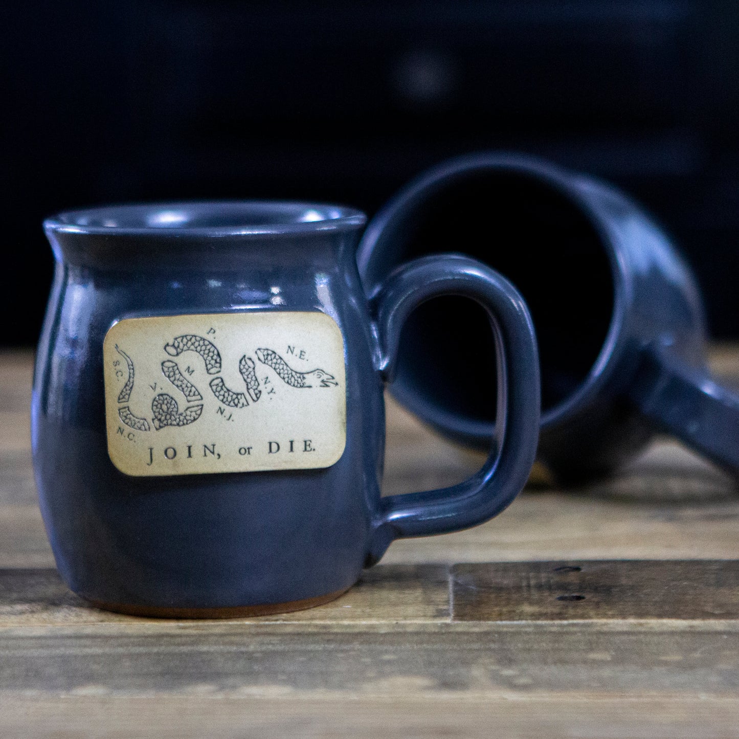 Join, or Die Stoneware Mug