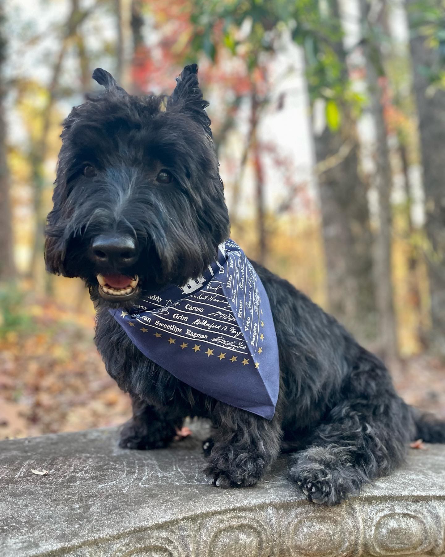 Presidential Dog Bandana