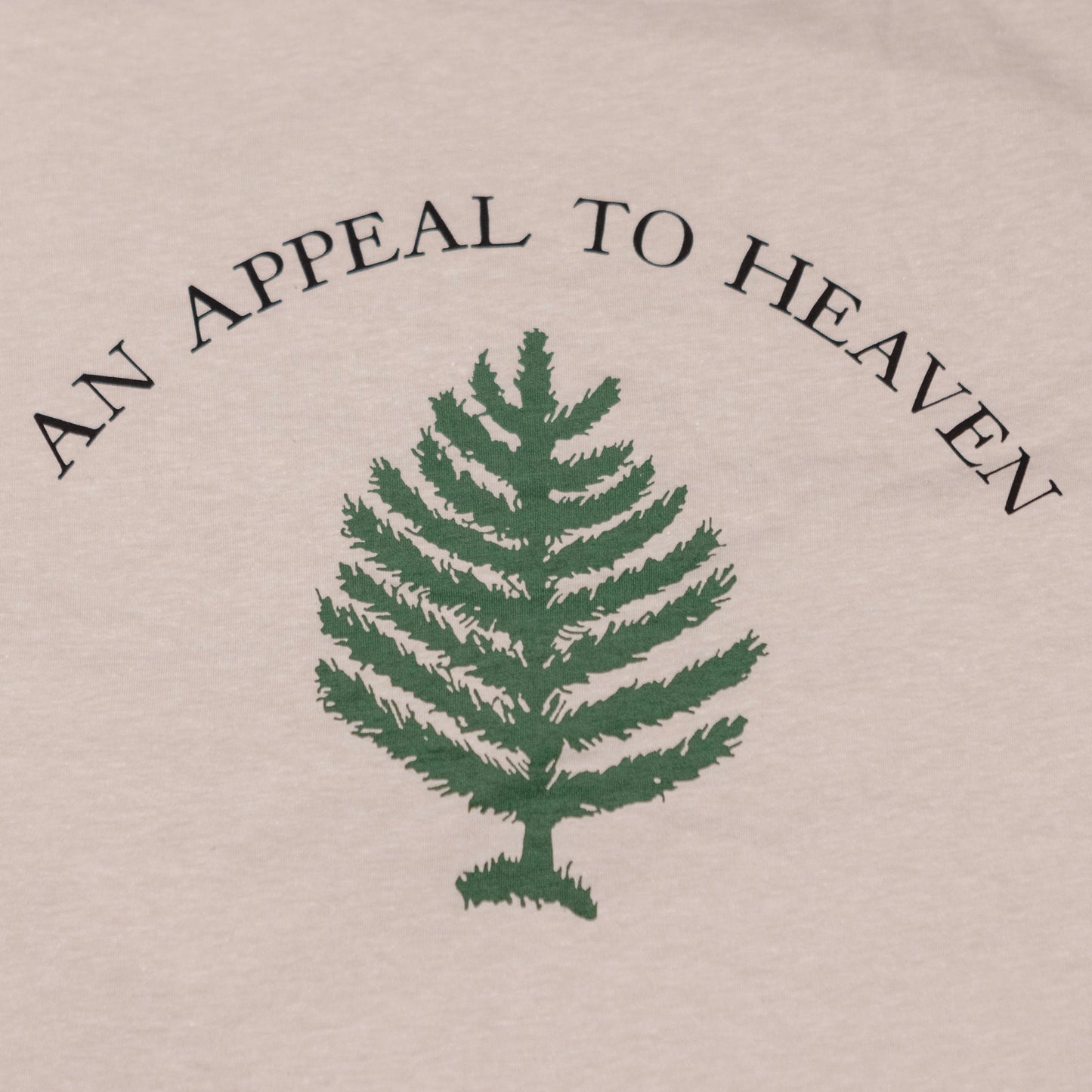 Washington's Cruisers - An Appeal to Heaven Shirt