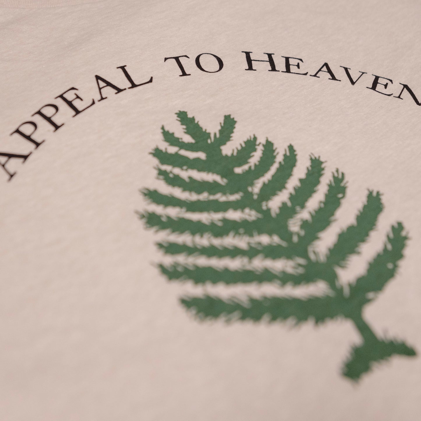 Washington's Cruisers - An Appeal to Heaven Shirt