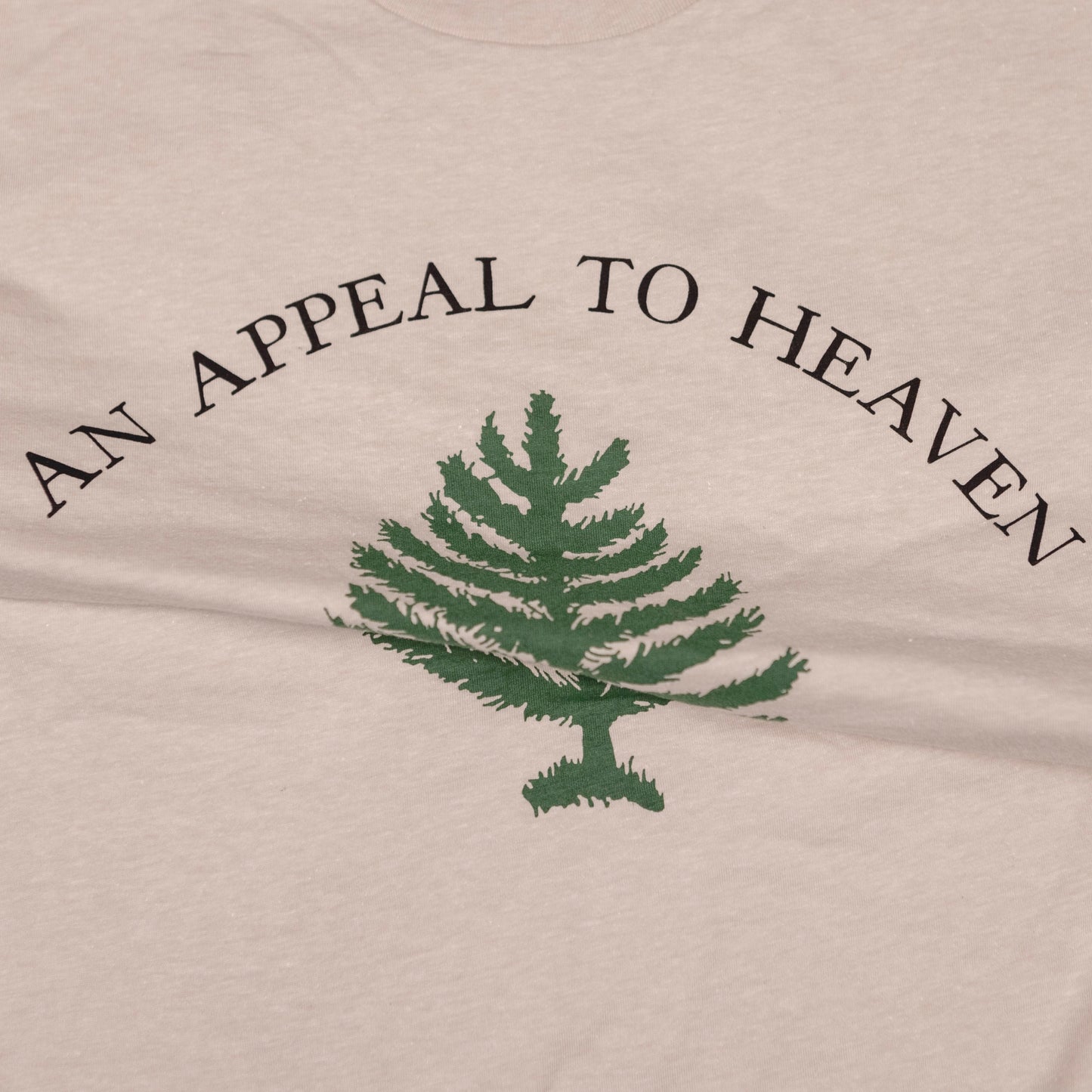 Washington's Cruisers - An Appeal to Heaven Shirt