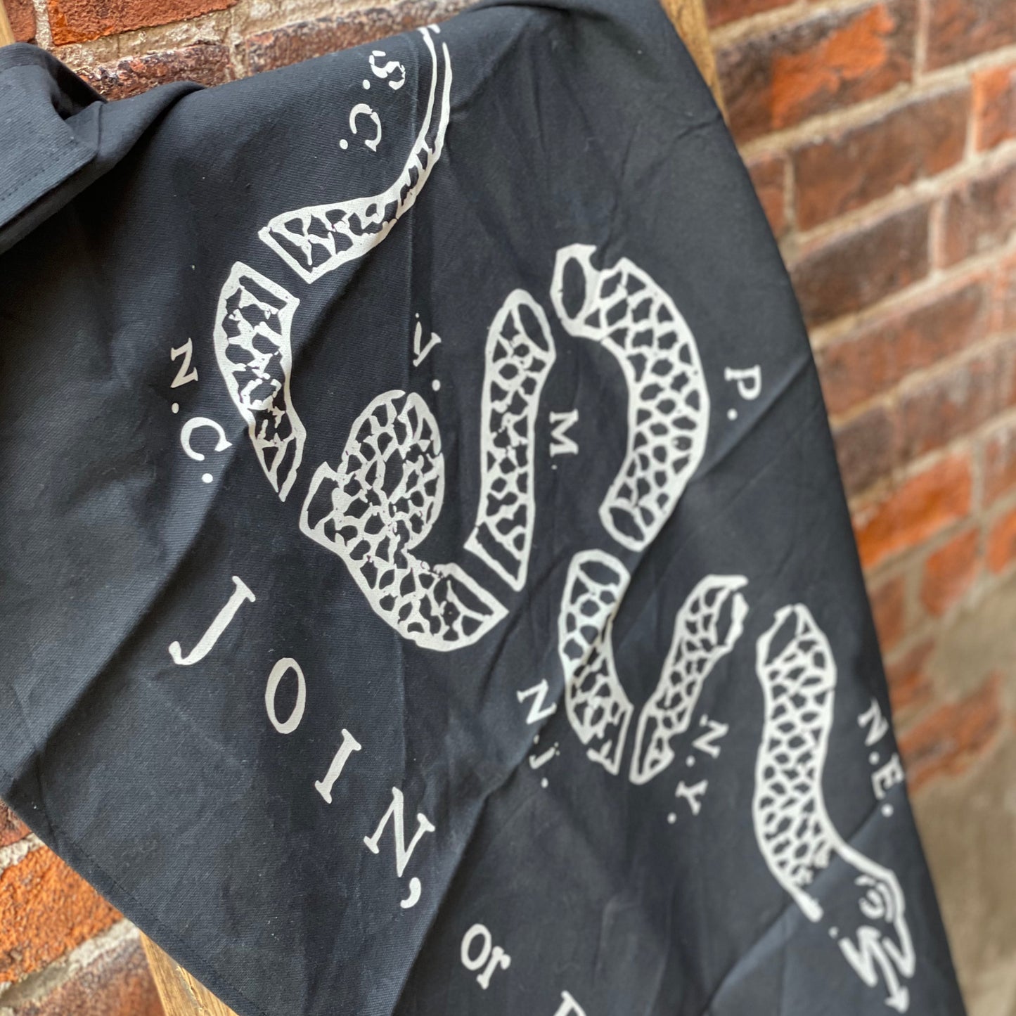 Join Or Die Canvas Flag