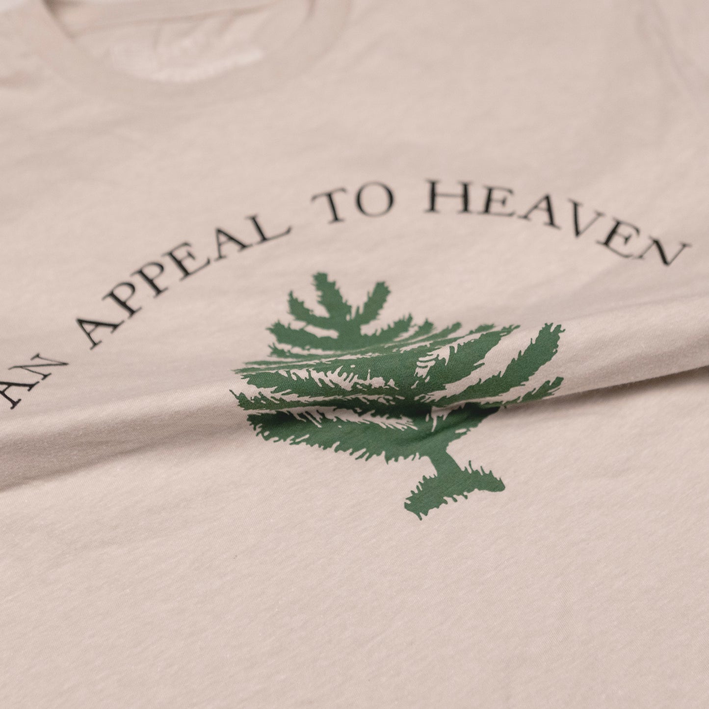 Washington's Cruisers - An Appeal to Heaven Shirt