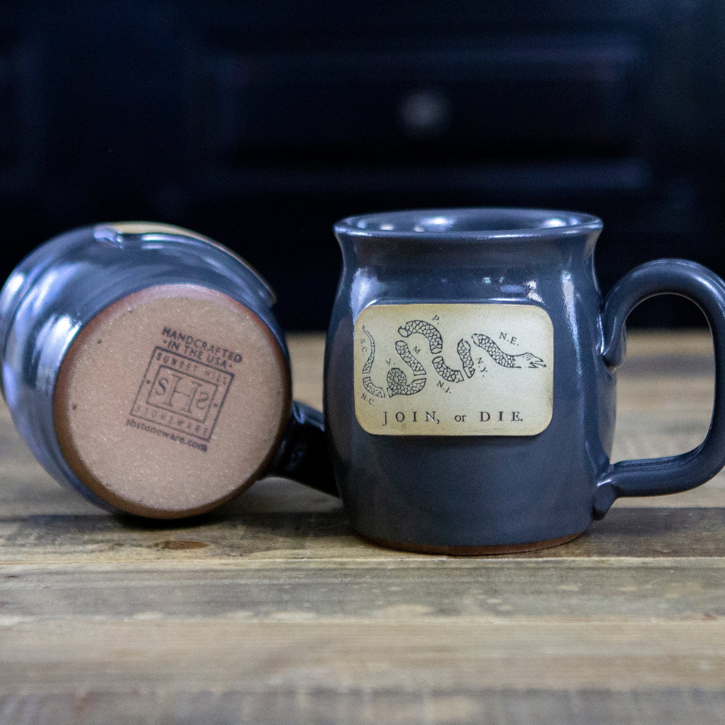 Join, or Die Stoneware Mug