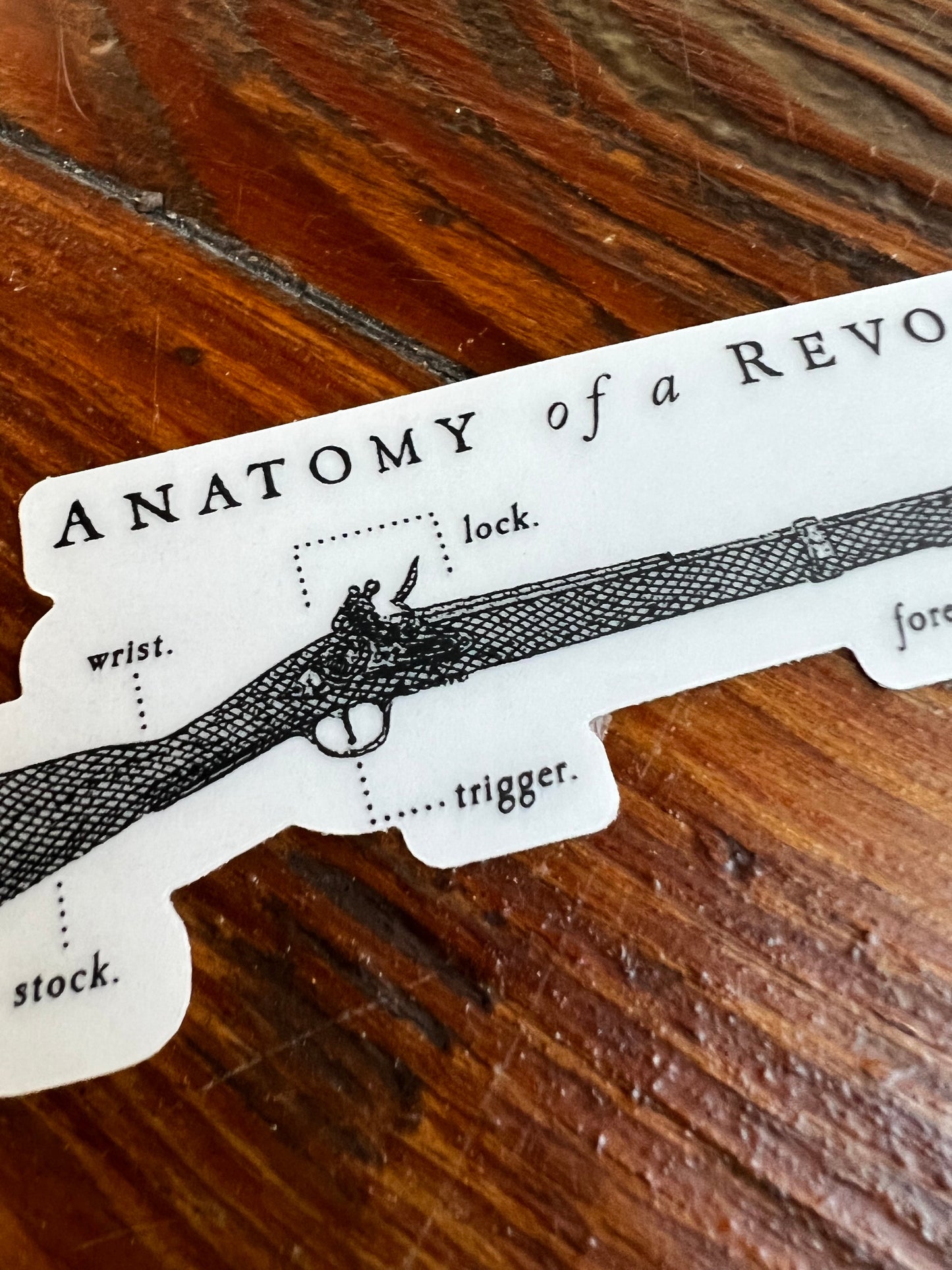 An Anatomy of a Revolution Musket Diagram Sticker