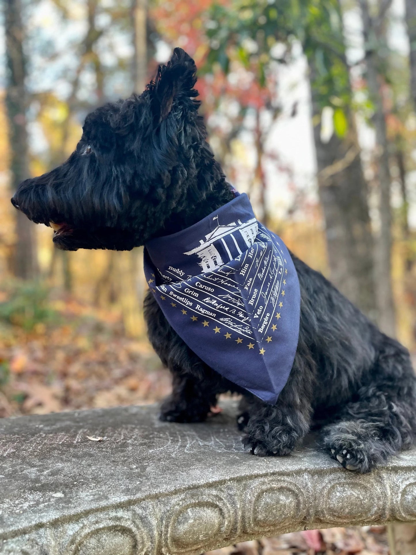 Presidential Dog Bandana