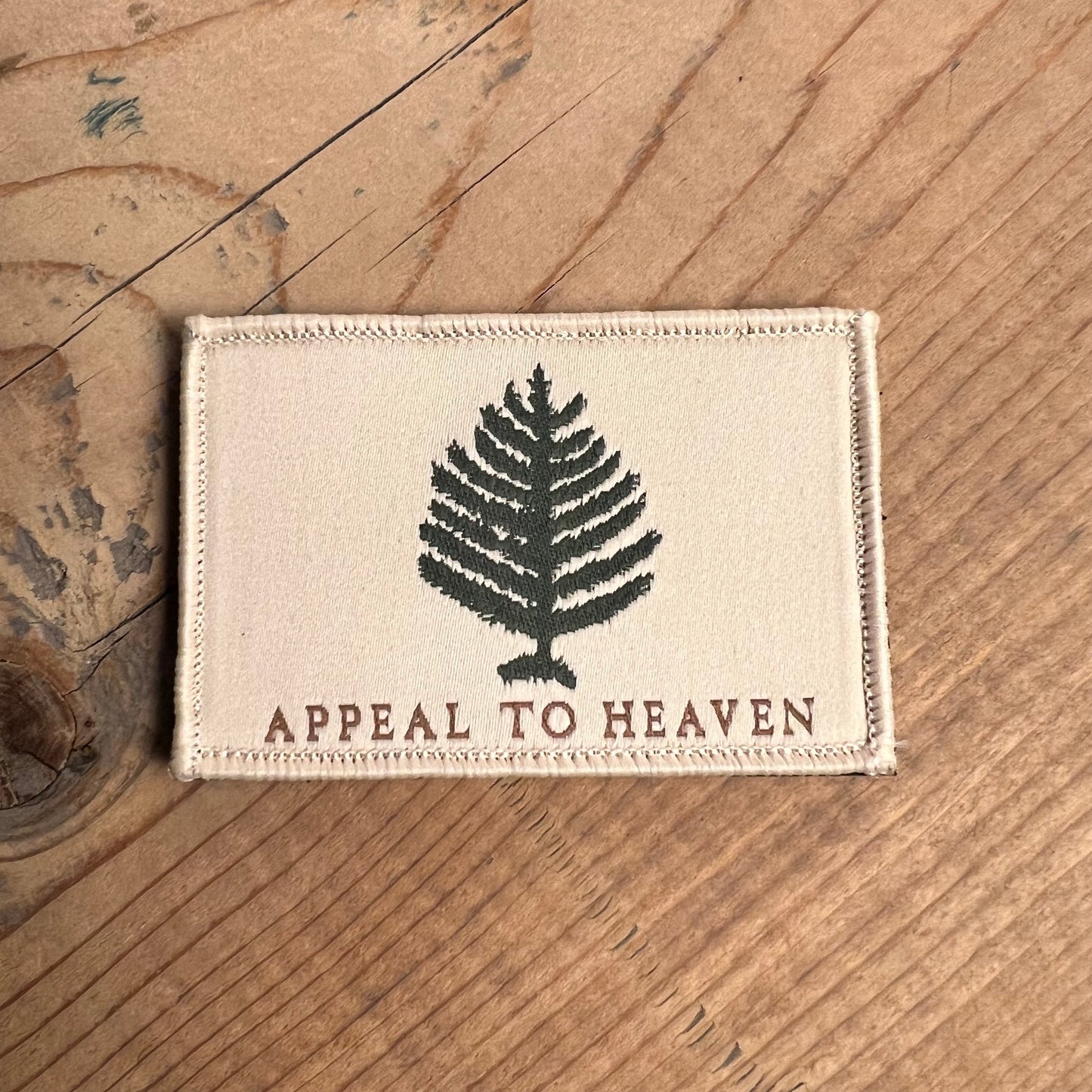 Washington's Cruisers An Appeal to Heaven Morale Patch by Texas 144.1